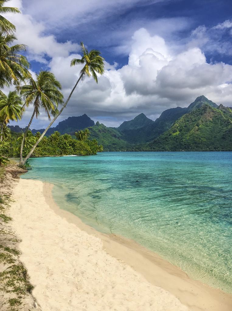 Moorea's Idyllic Opunohu Bay 